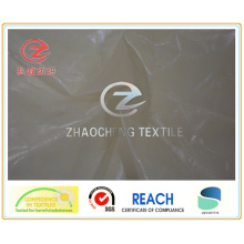 Bronzing Ribstop Nylon Taffeta Garment Fabric (ZCGF105)